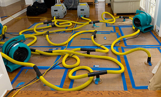 Professional Burst Pipe Water Damage technician working in Hanceville, AL